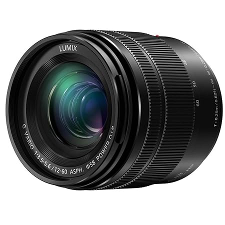 Panasonic Lumix G Vario 12-60mm f/3.5-5.6 ASPH. POWER O.I.S. Lens (H-FS12060) Panasonic
