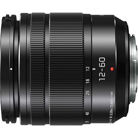 Panasonic Lumix G Vario 12-60mm f/3.5-5.6 ASPH. POWER O.I.S. Lens (H-FS12060) Panasonic