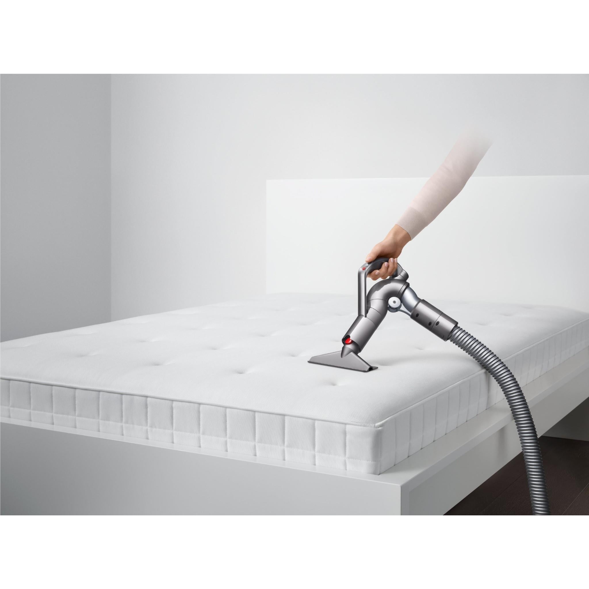 Dyson Big Ball Absolute [2023]
