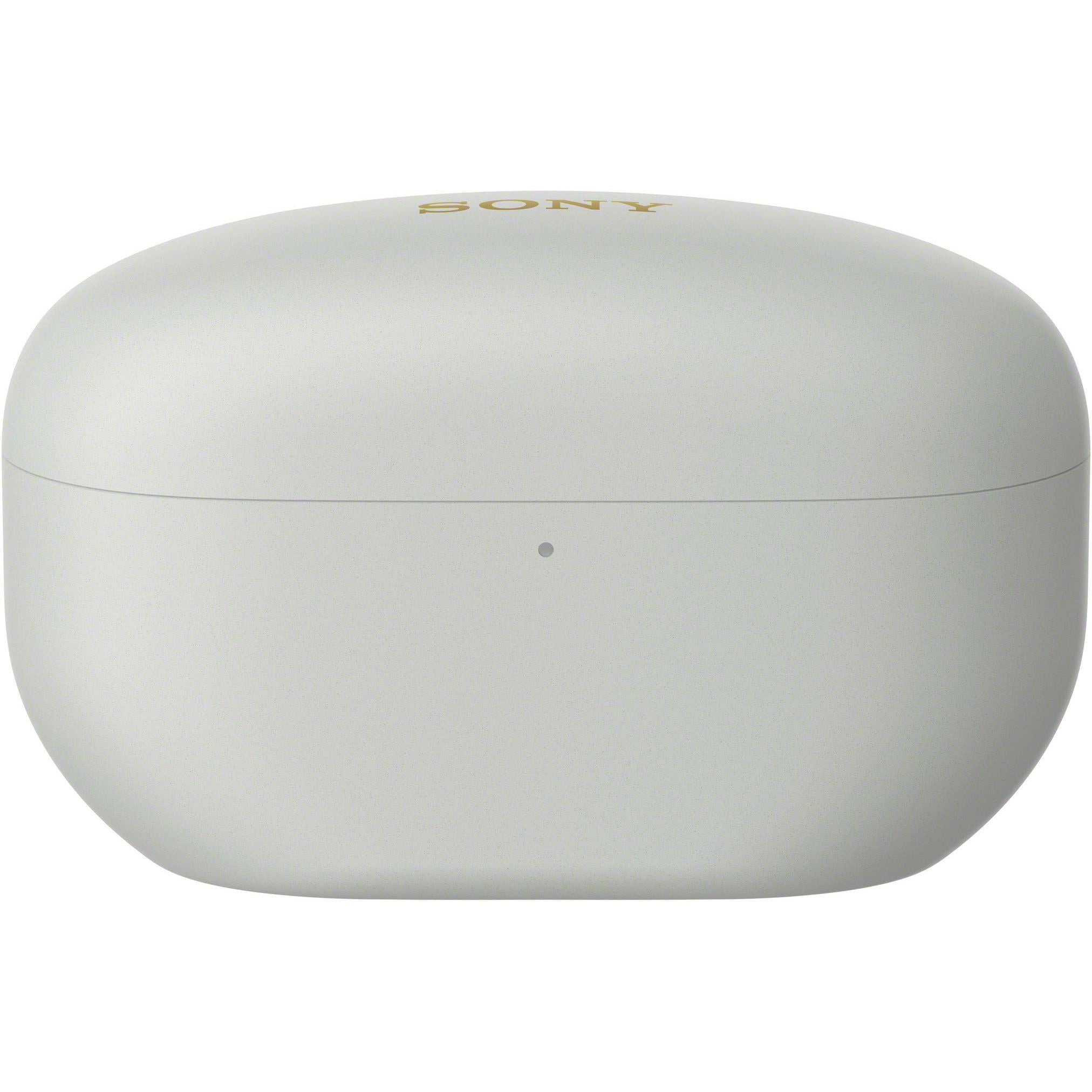 Silver WF-1000XM5 earbuds angled to show earbud body and charging case finish