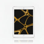 Apple iPad 4th Gen 16GB, 32GB, 64GB, 128GB - Wi-Fi - Black, White - Good - Refurbished Apple