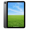 Apple iPad Mini 6th Generation 256GB Cellular - Space Gray - Pristine - Refurbished