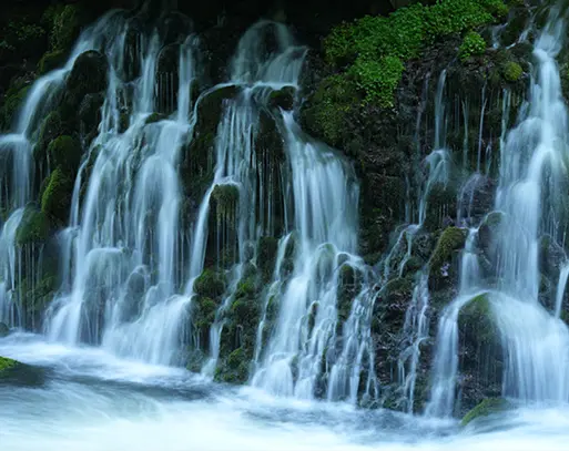 Sony FE 70-200 mm f/4 Macro G OSS II — Telephoto Zoom Lens