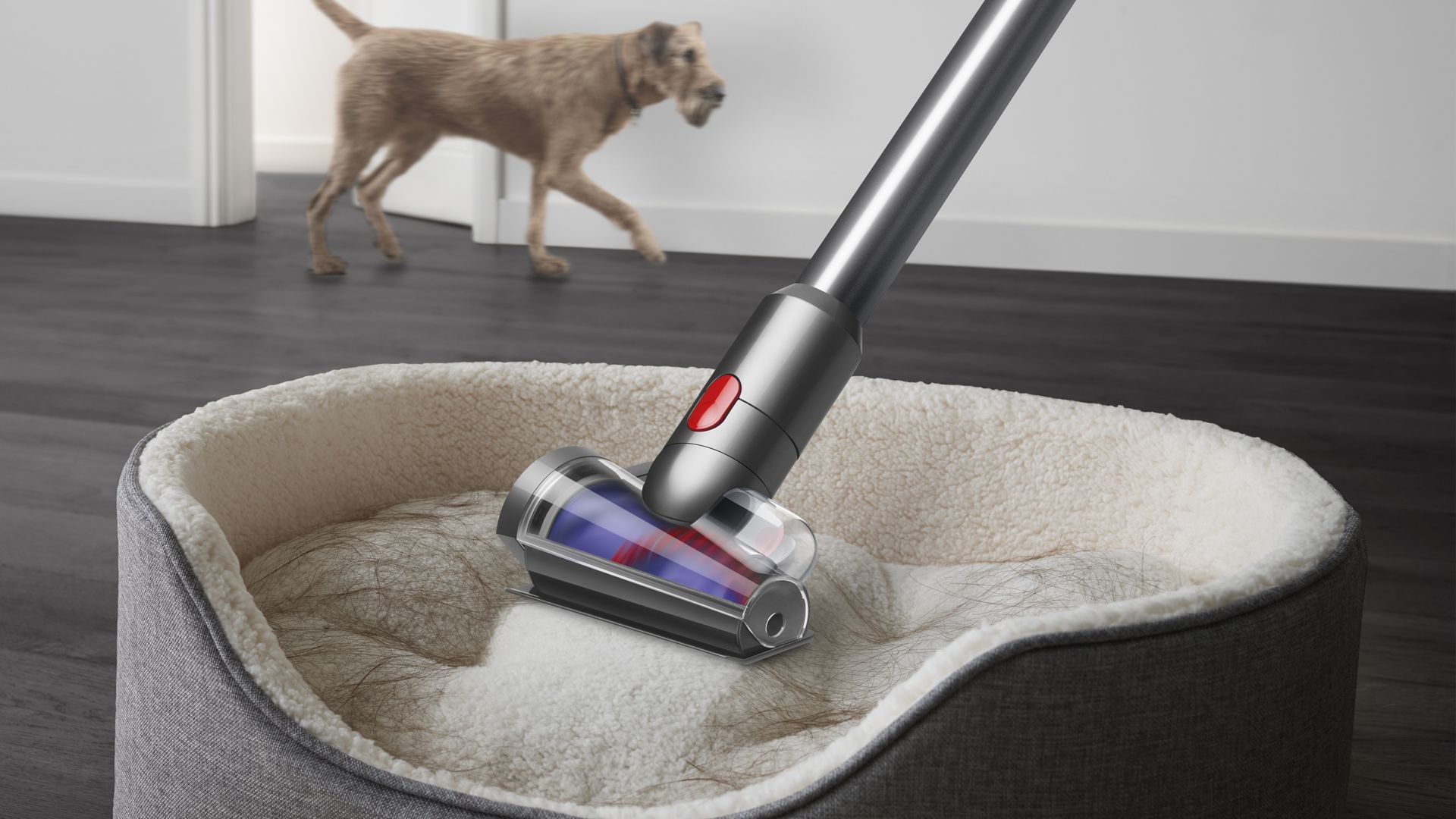 Dyson V12 Detect Slim Fluffy, Auto-adapt suction power, deep clean Vacuum Cleaner Dyson