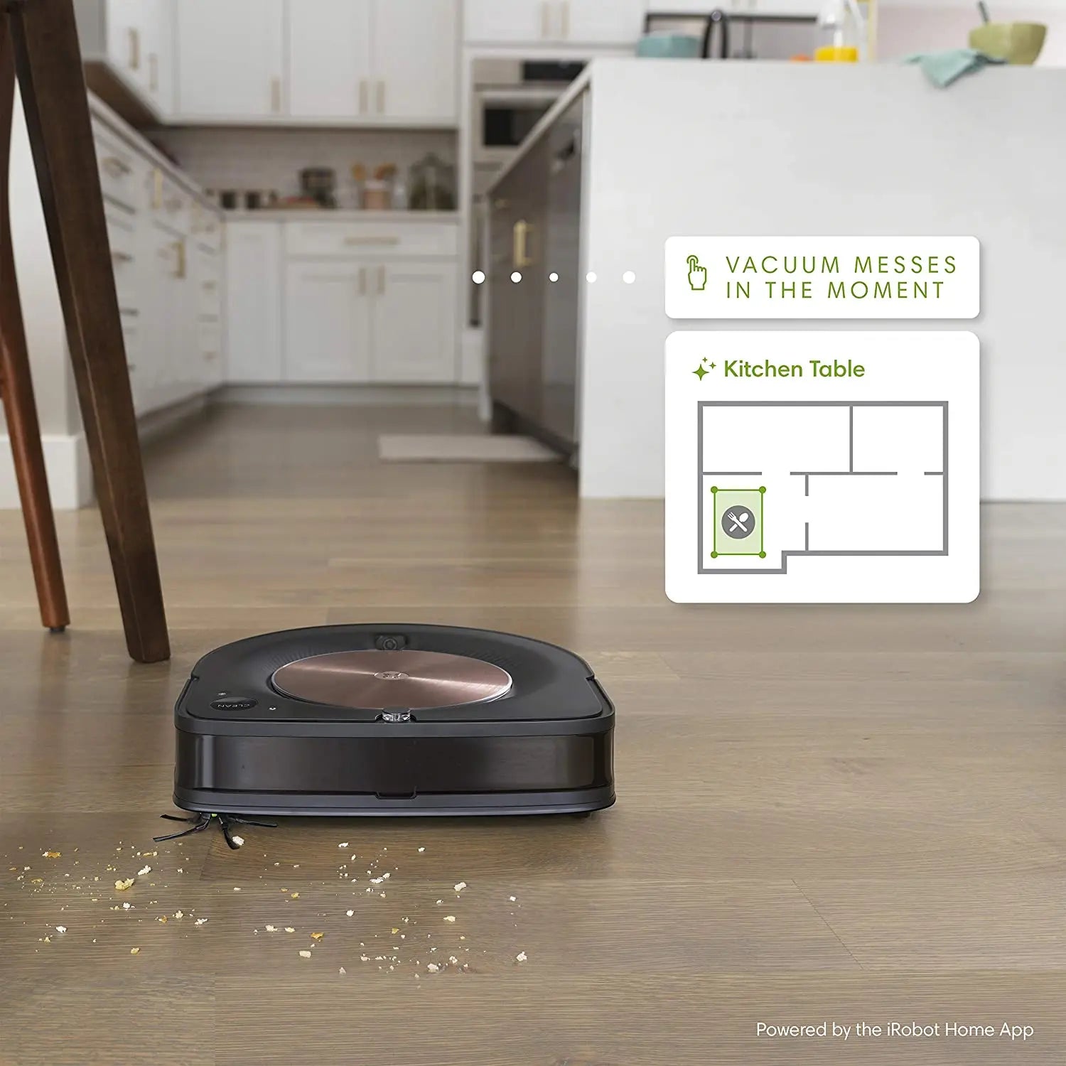 iRobot Roomba S9+ Robot Vacuum Cleaner with Automatic Dirt Disposal - Black iRobot