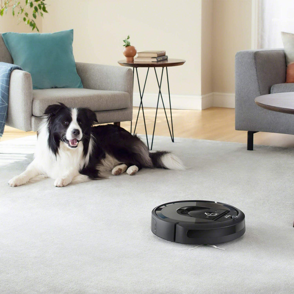 iRobot Roomba i7+ Robotic Vacuum Cleaner with Automatic Dirt Disposal - Black iRobot