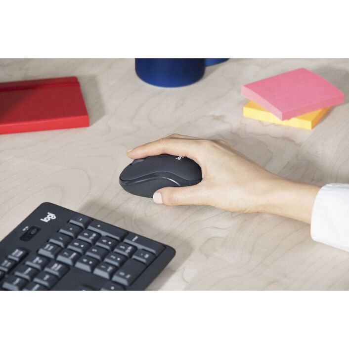 Logitech MK295 Silent Wireless Keyboard and Mouse Combo - Black Logitech